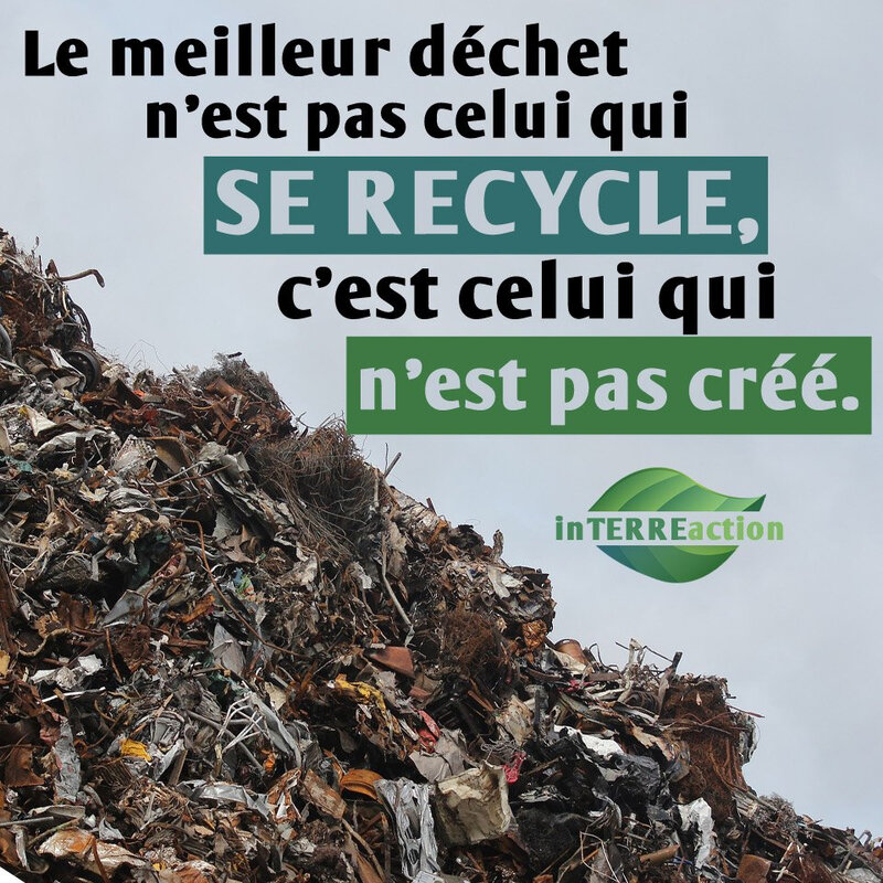 ecologie_154