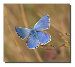 azure_branche_3_200909