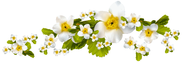 Gif barre séparation fleurs blanches et feuillages 590 pixels
