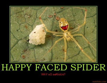 happy_faced_spider_shock_demotivational_poster_1236757037