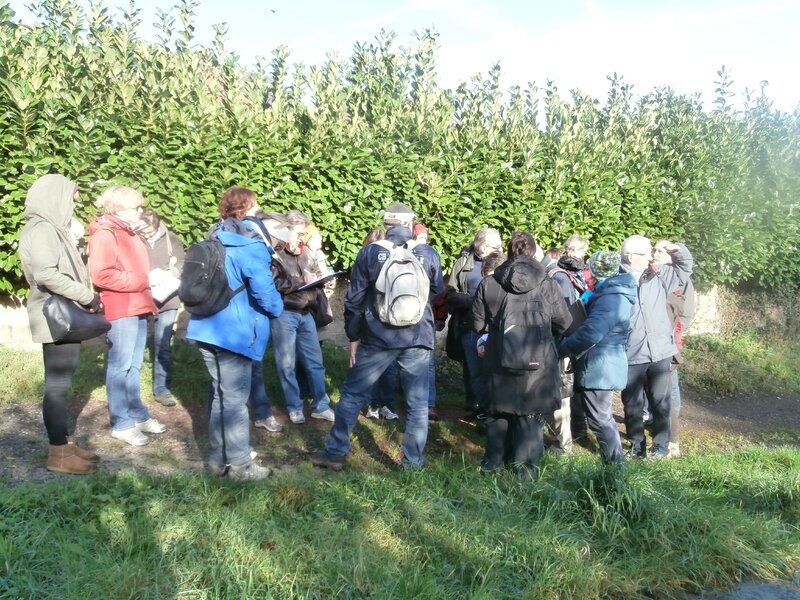 Promenades guides - 2014-11-08 - PB087013