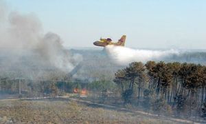 600 hectares de forêts détruits à Lacanau