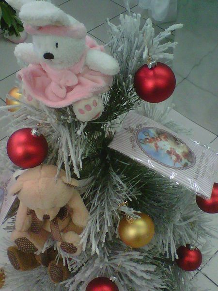 IMG00980-20121113-1201