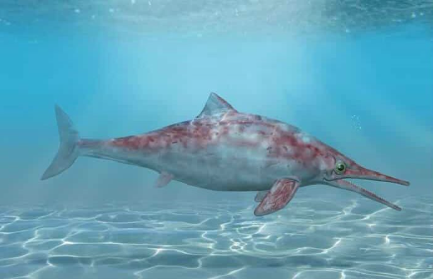 Ichthyiosaure