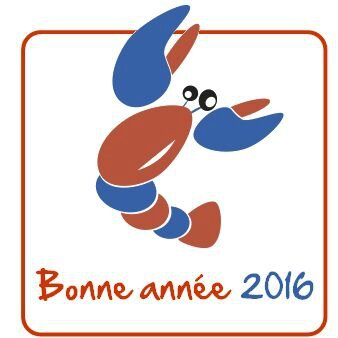 Bonne année 2016