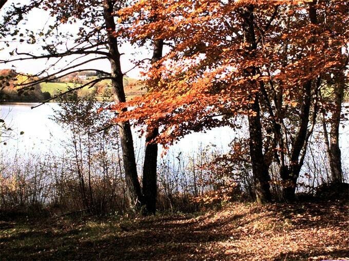 couleurs d'automne
