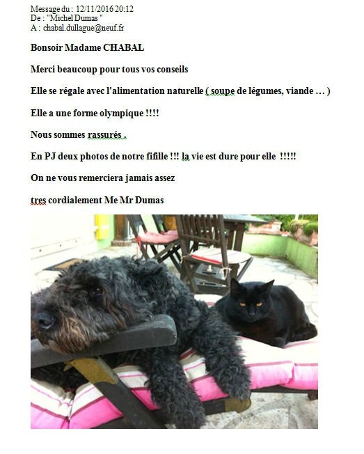 des nouvelles de FENZIE de la Dullague 7 ans...