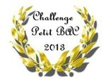 0 Challenge Petit Bac 2013-001 - Copie