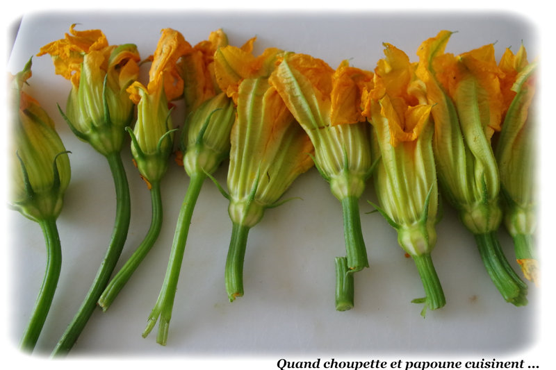 fleurs de courgettes farcies-175