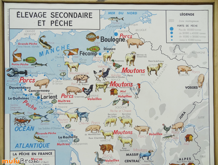 CARTE-Elevage-Peche-2-muluBrok