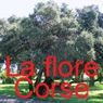 LA_FLORE DE CORSE