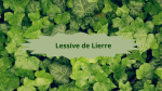 13 LIERRELessive de Lierre
