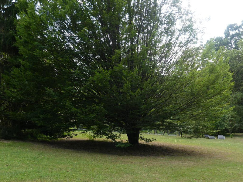P1020360