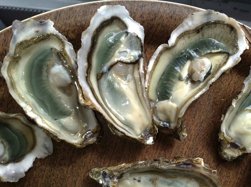 huitres-marennes-oleron