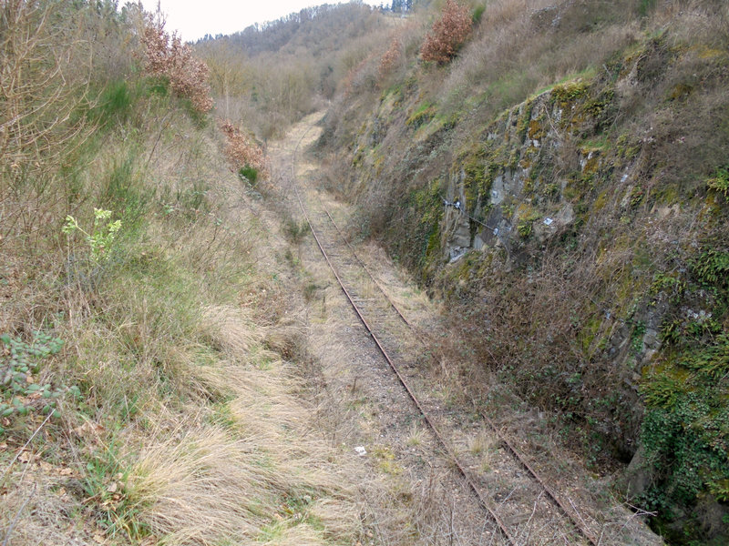 DSC04496