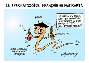 spermatozoide web