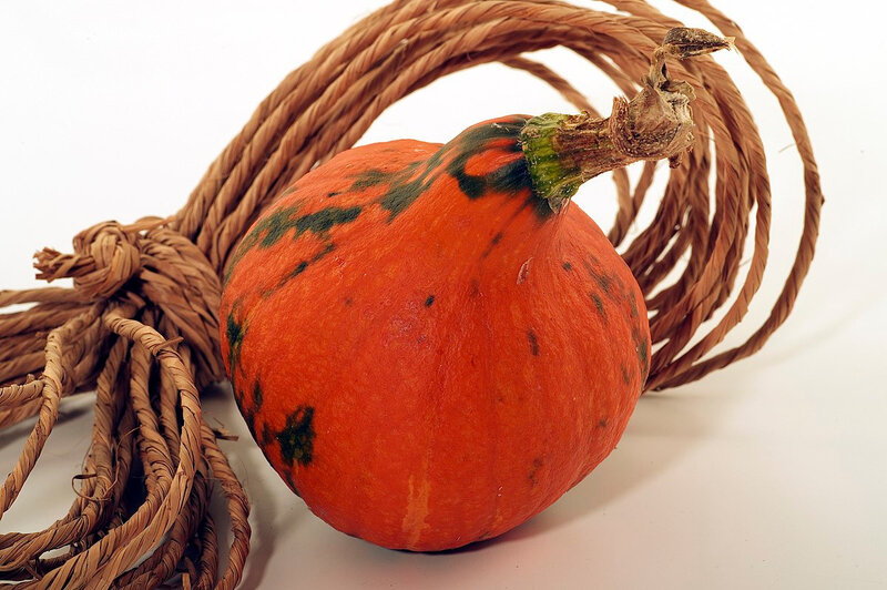 Potimarron