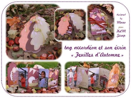 tag accordeon et ecrin feuilles automne