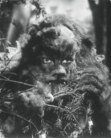 la_belle_et_la_bete_10