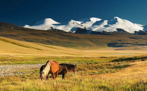 mongolie-paysages