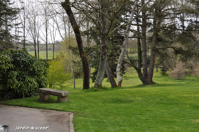 Abbaye de Daoulas  (29)