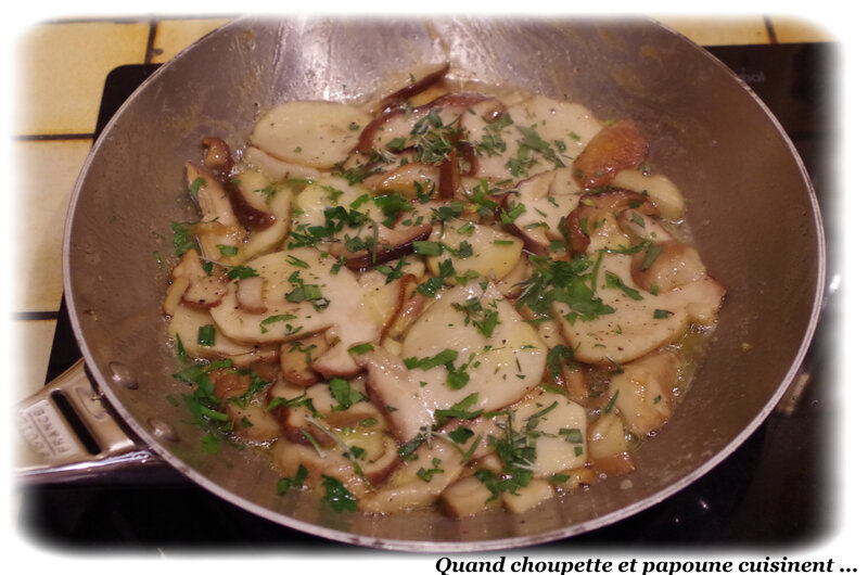 omelette aux cépes frais-713