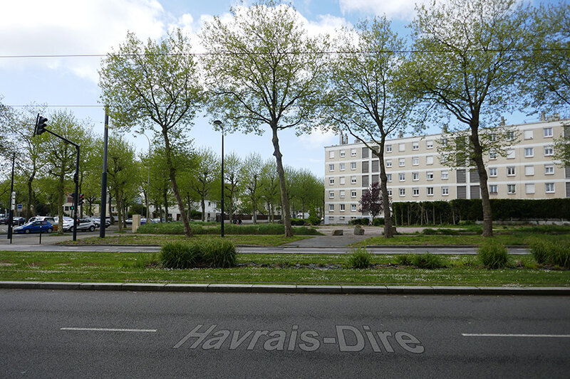 305 Bois au Coq (mai 2018) ALG