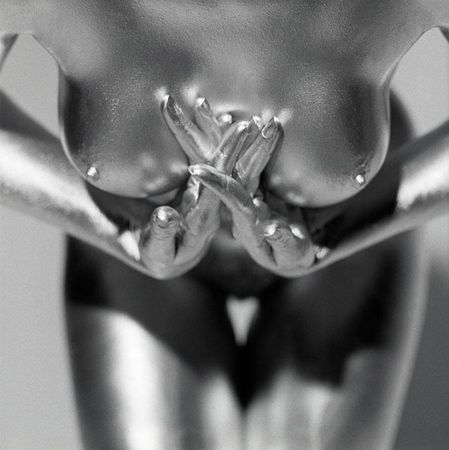 silvereye_series_by_guido_argentini_2_600x602