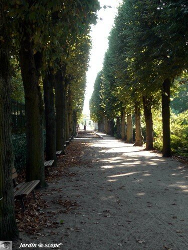 Allée des bancs Jardin des plantes Orléans