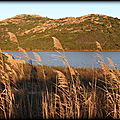 RIVAGES LACUSTRES DE CORSE