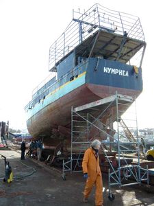 nymphea2