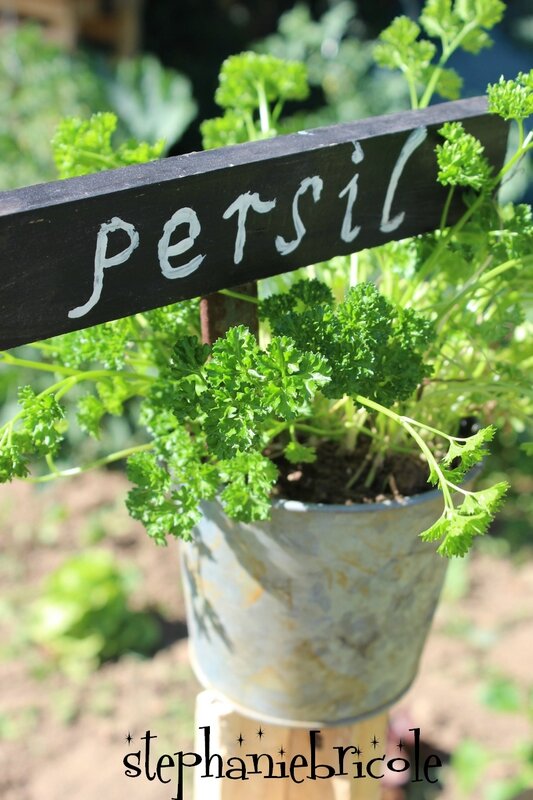 bricolage facile potager