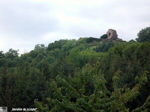 6724_Ruines_Thann