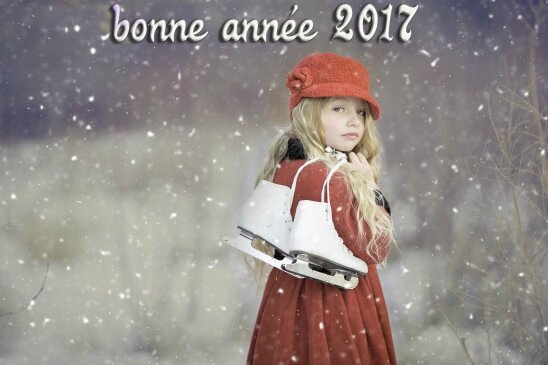 cartes-de-voeux-gratuites-bonne-année-2017-26-548x365