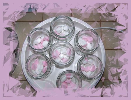 yaourt au sirop et bonbon de guimauve recettes Oursons à la guimauve