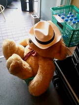 bearwithahat