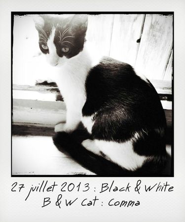 27-Black & White_instant