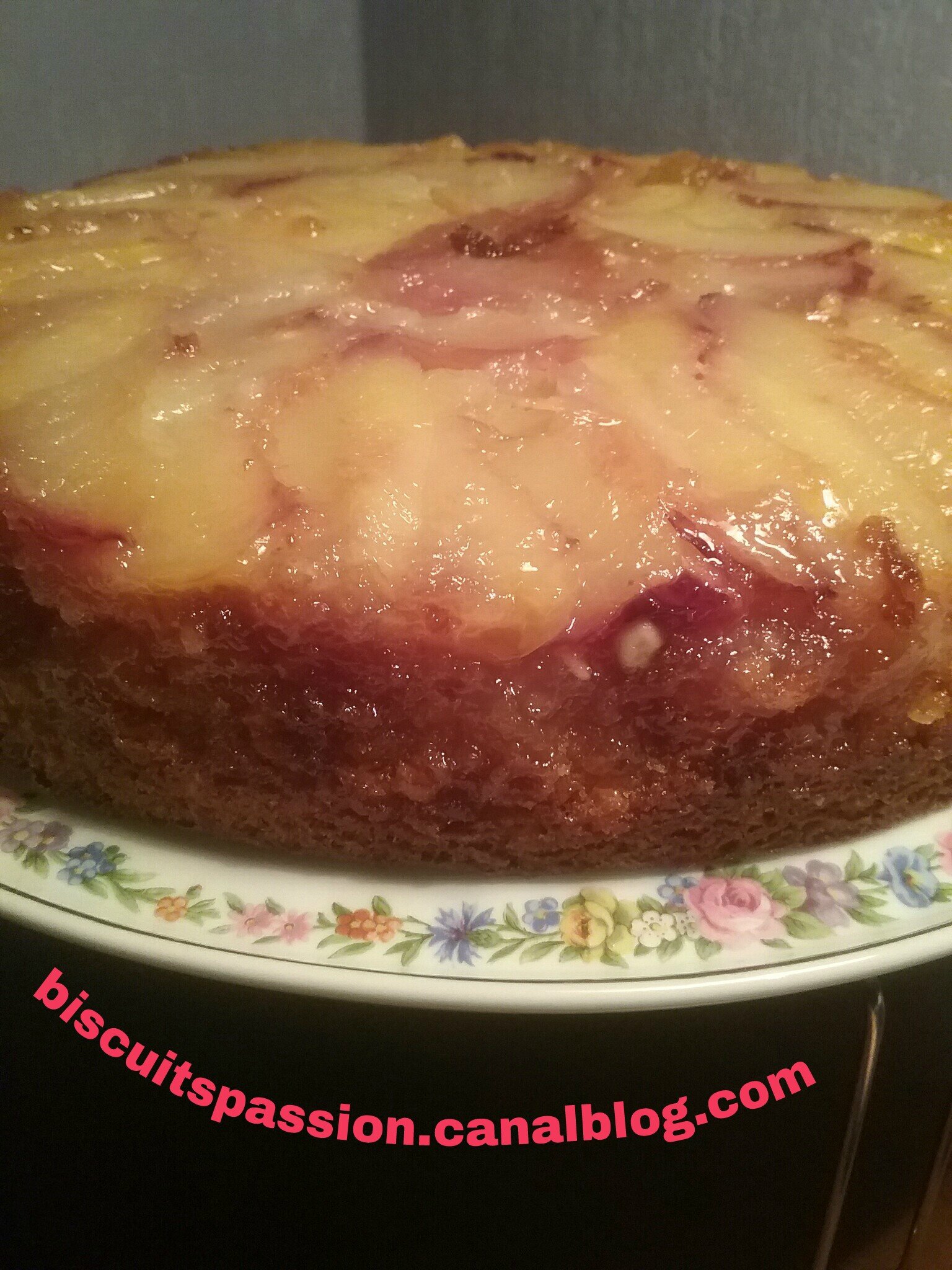 Gâteau renversé aux nectarines blanches et aux amandes 095