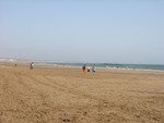 DSCN0346