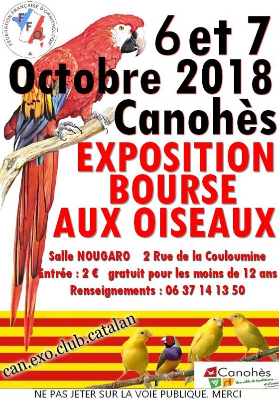 Affiche Expo 2018