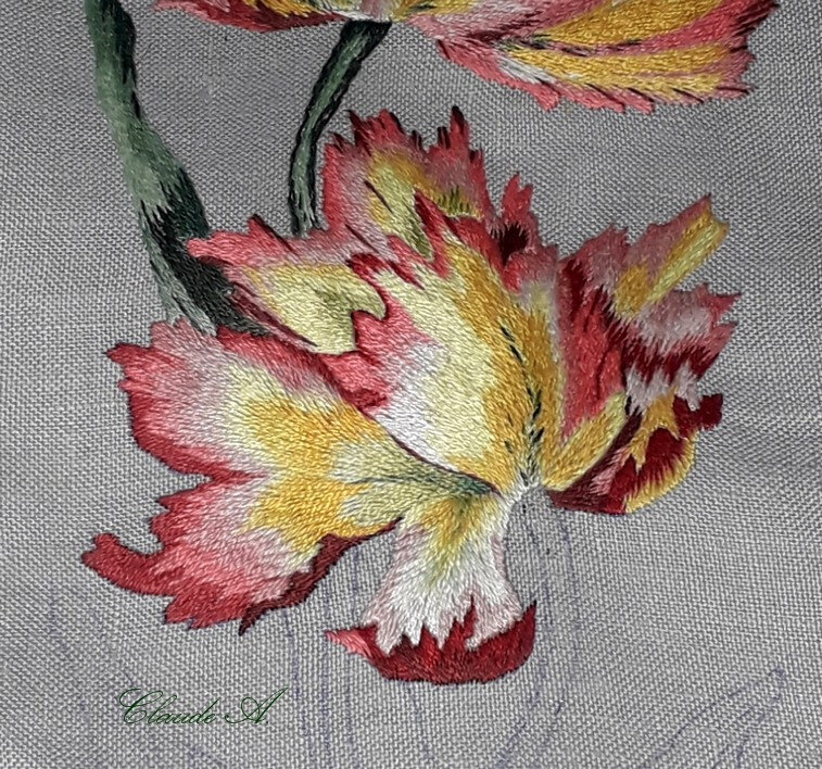 tulipe 2-2