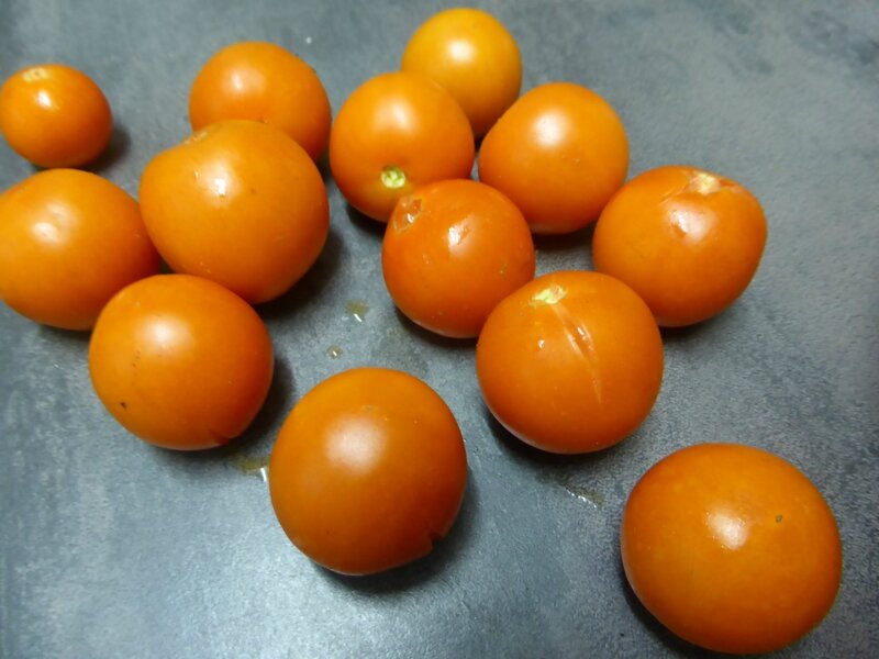 18-tomates