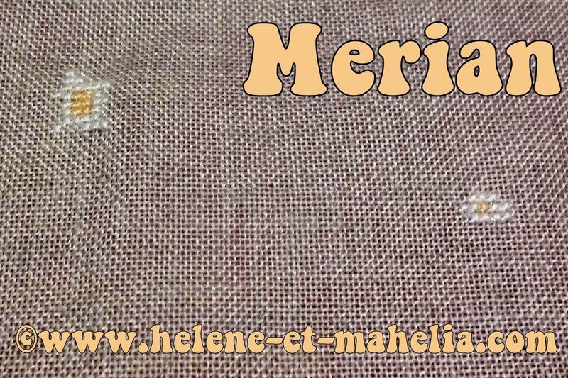 merian ES_saljuil14_1