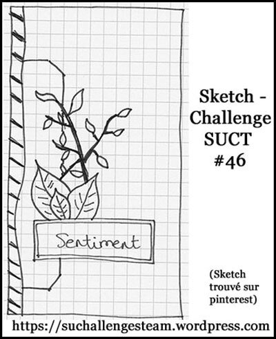 SUCT challenge 46 sketch (2)