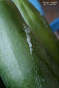 Photo_001