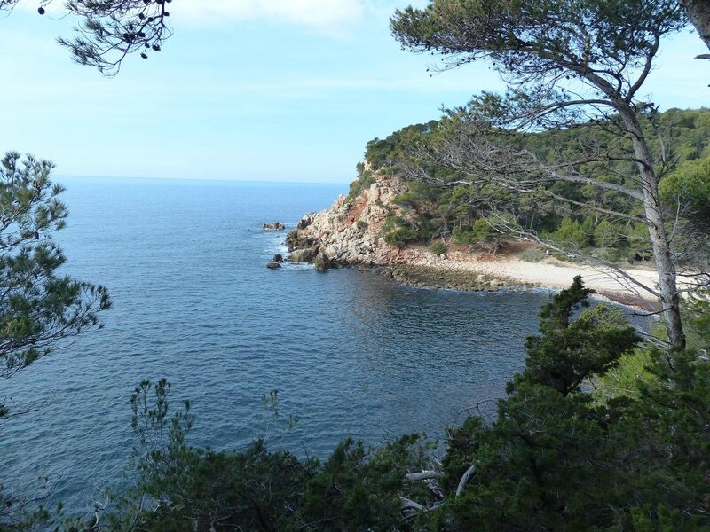 P1190005