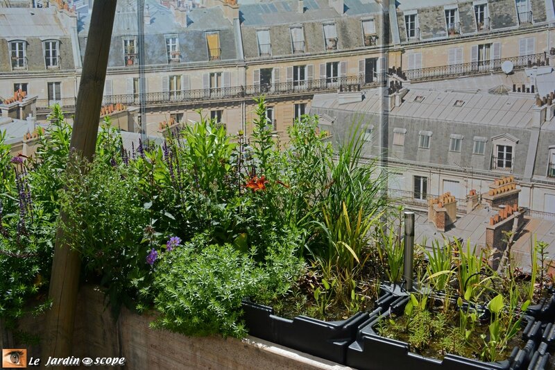 21-Rooftop-power-plant-1