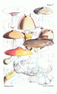 Berkeley4