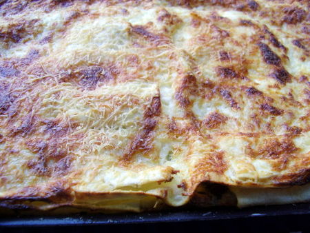 gratin_de_lasagnes_blettes___ricotta___parmesan_002