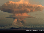 news_3893